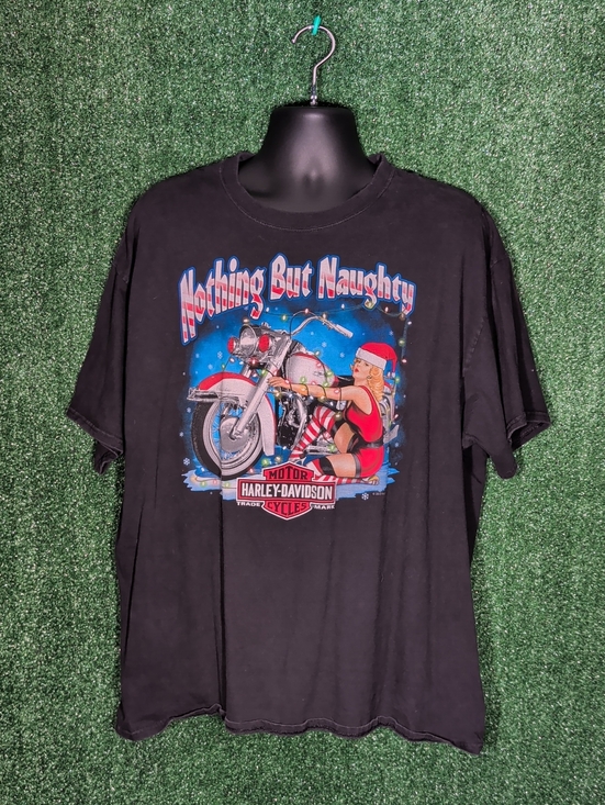 Harley-Davidson Other - Harley-Davidson Black 2012 Holiday Print